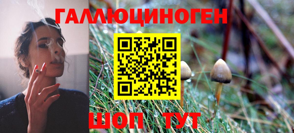 Псилоцибиновые грибы Magic Shrooms  Галлюциногенные грибы мухоморы  Черняховск  Вход с VPN 